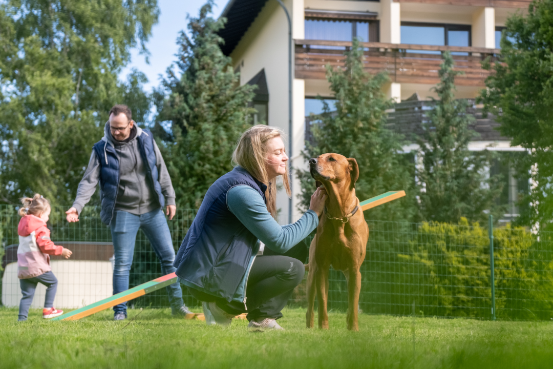 Fellnasen-Special: 3 Übern. für 1 Person mit Hund im Hotel Der Wolfshof im Harz 