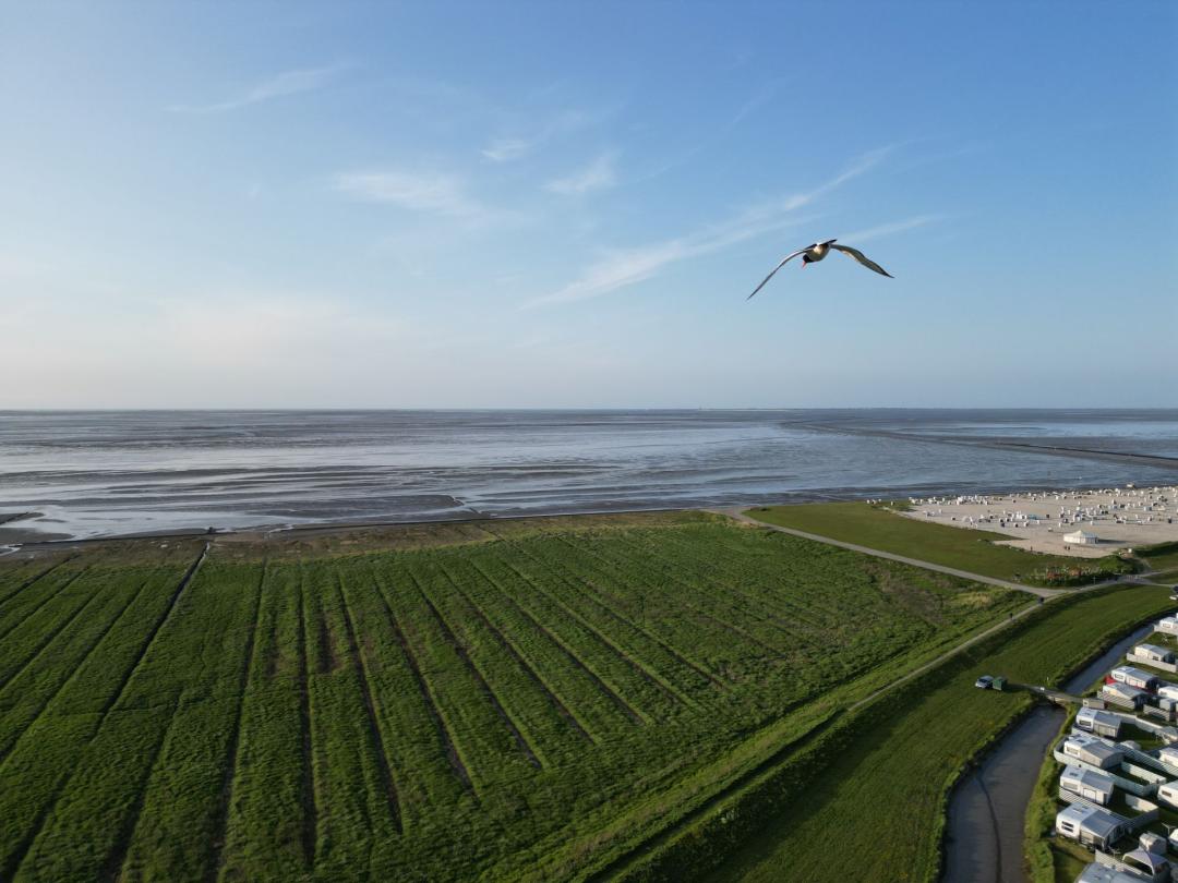 Wohnmobil-Wochenende für 2 Personen in Harlesiel inkl. Strandkorb 
