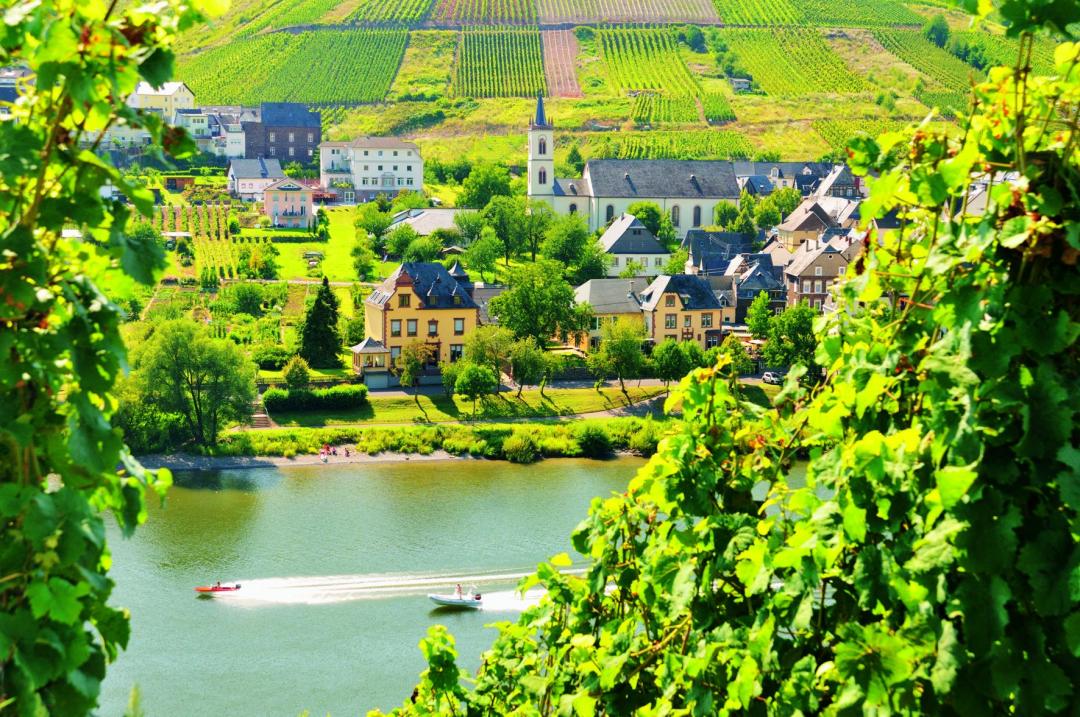 Gourmet Arrangement beim Sieger von Mein Lokal Dein Lokal für 2 Personen in der Villa Melsheimer 