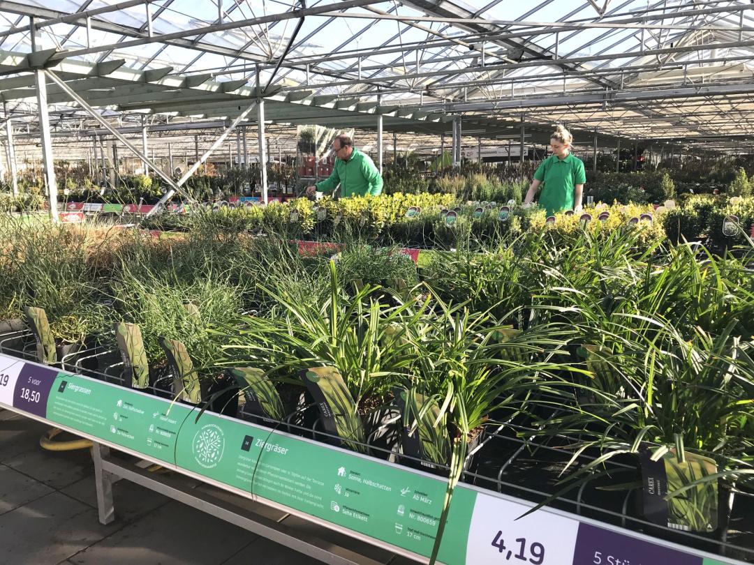 Gutschein im Wert von 200 Euro auf das gesamte Sortiment von Budgetplant.de in Venlo