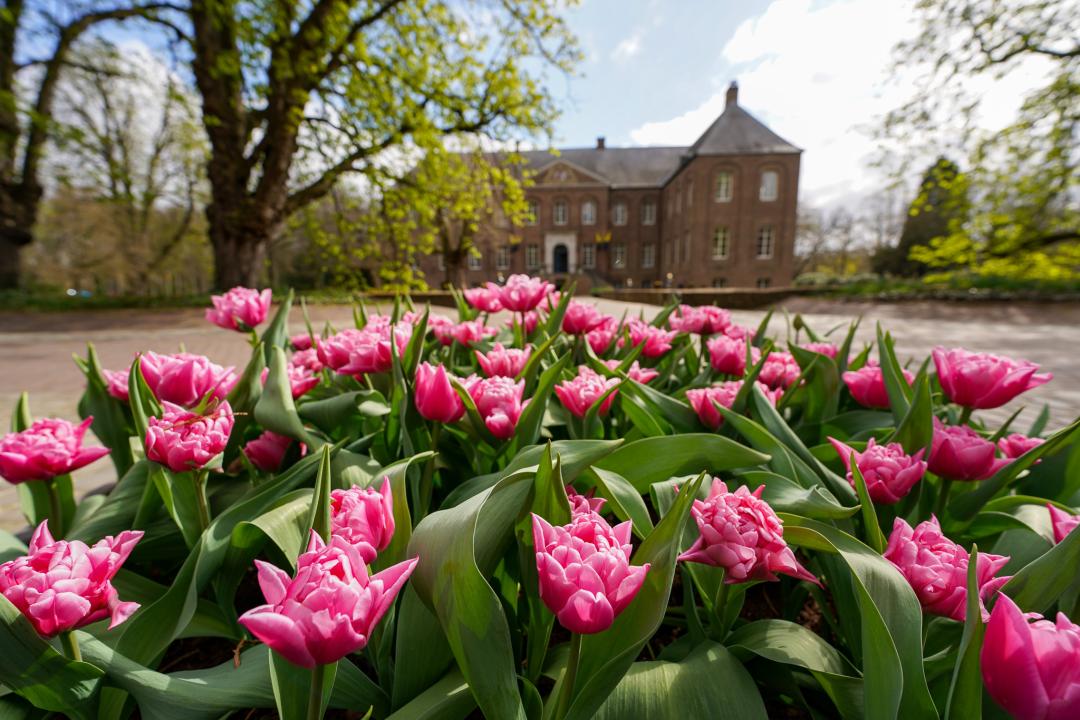 Eintrittspaket Schlossgärten Arcen für 2 Personen 