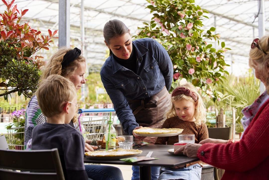 Gutschein im Wert von 200 Euro auf das gesamte Sortiment von Budgetplant.de in Venlo