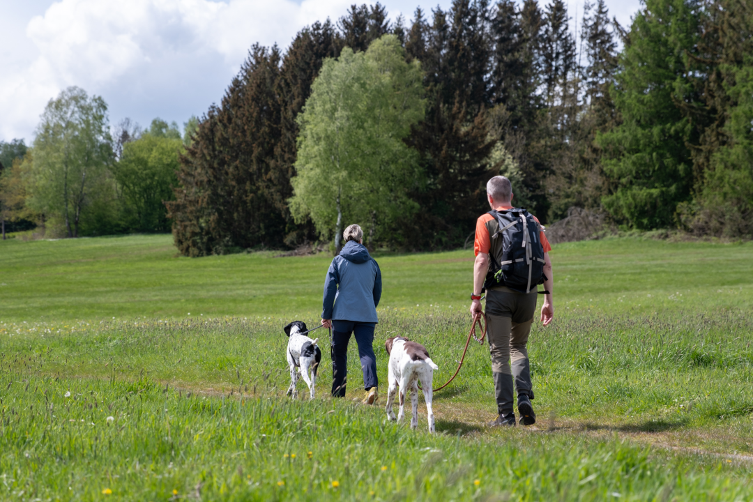 Fellnasen-Special: 3 Übern. für 1 Person mit Hund im Hotel Der Wolfshof im Harz 