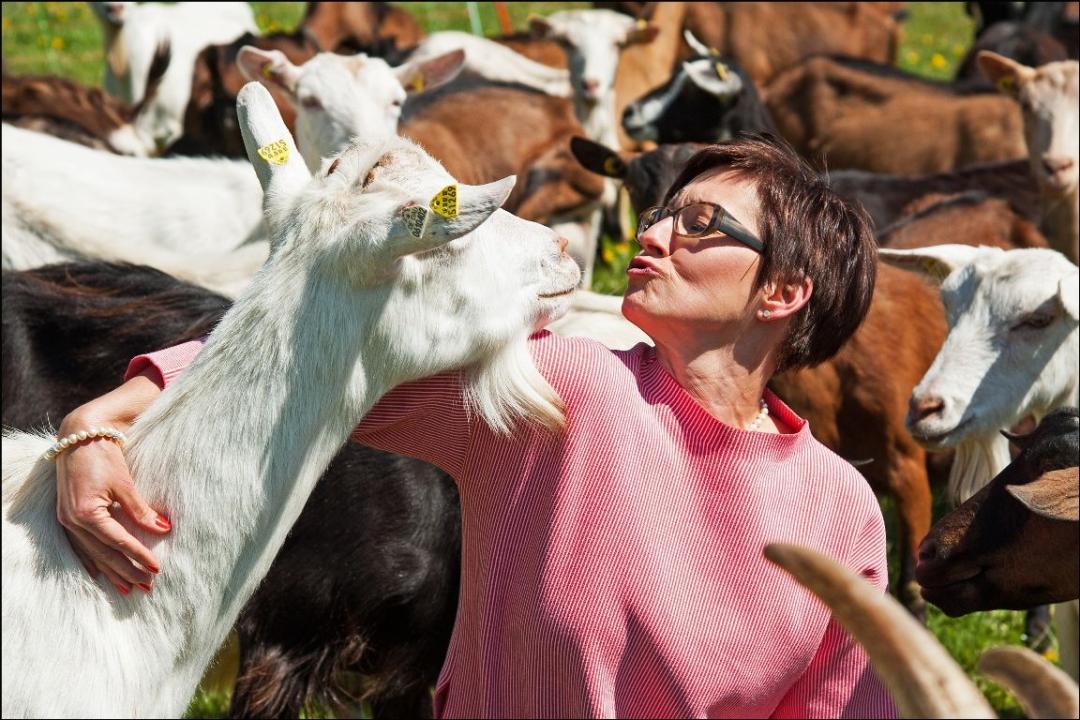 Kurzweiler Midweek - Tanken Sie Energie für den Alltag im NaturPurHotel für 2 Personen im DZ 