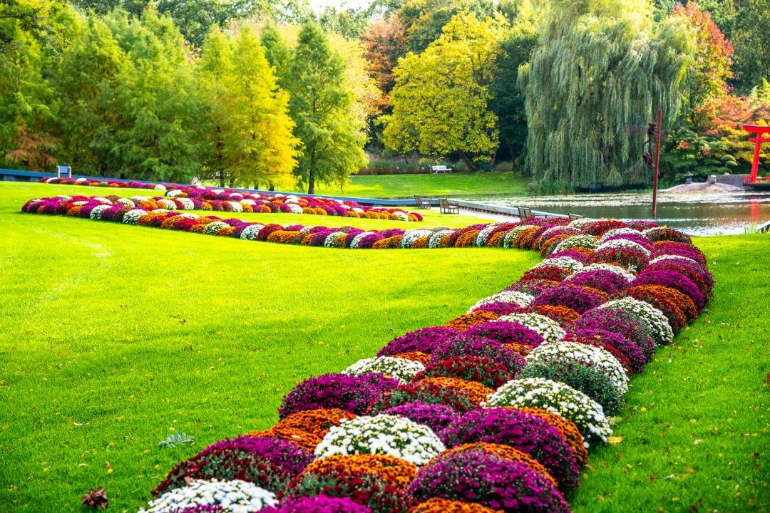 Herbst-Eintrittspaket Schlossgärten Arcen für 2 Personen 