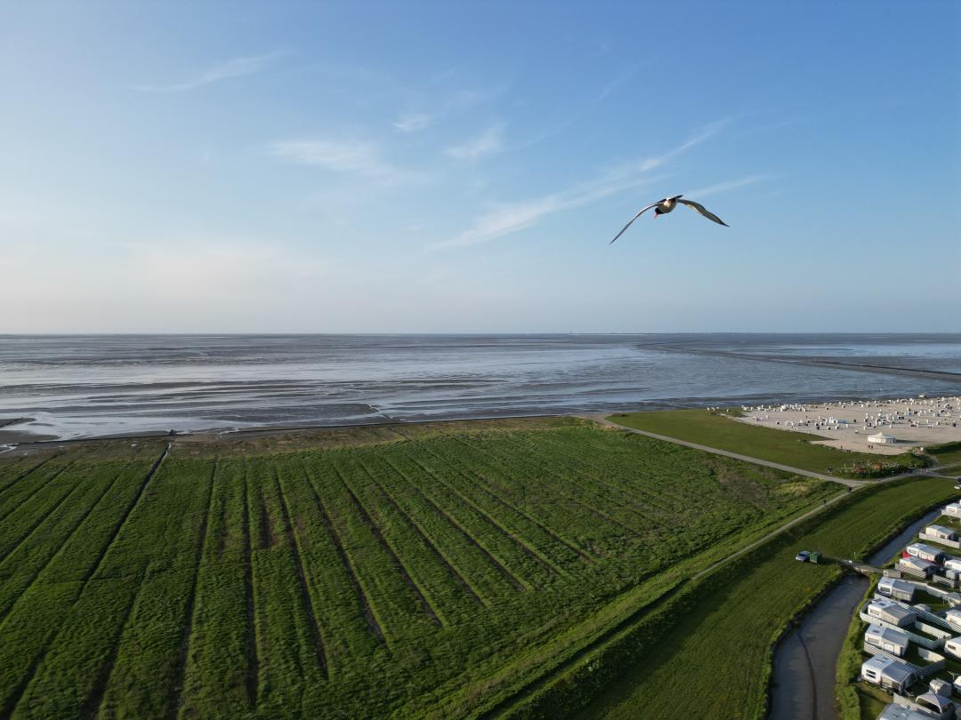 Familienwoche in Harlesiel für 2 Erw. + Kinder – Camping, Nordsee & Entspannung für Groß und Klein