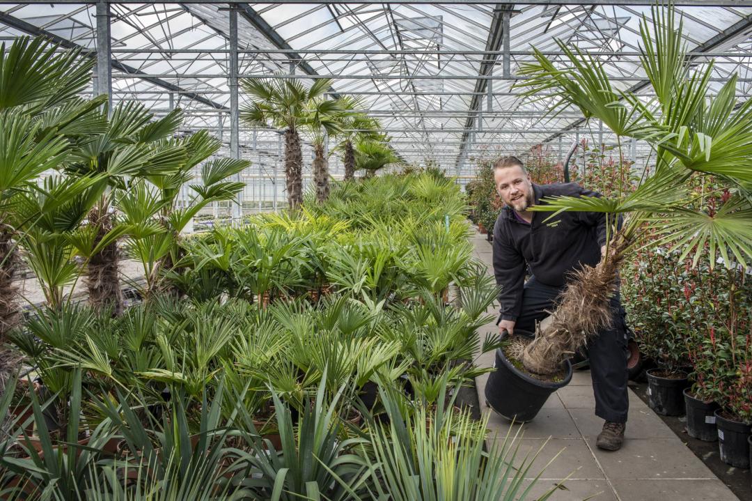 50 Euro Gutschein für das gesamte Sortiment vom Plantencentrum Velden 