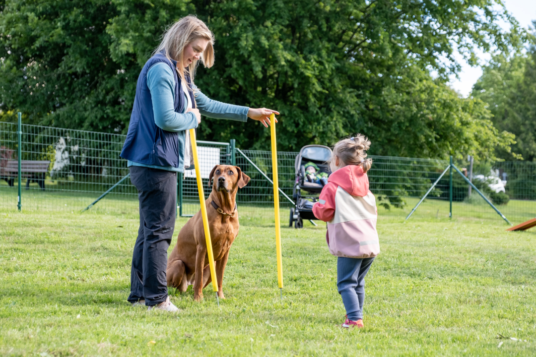 Familien-Special: 3 Übern. für 2 Erw. + 2 Kinder im Hotel Der Wolfshof im Harz