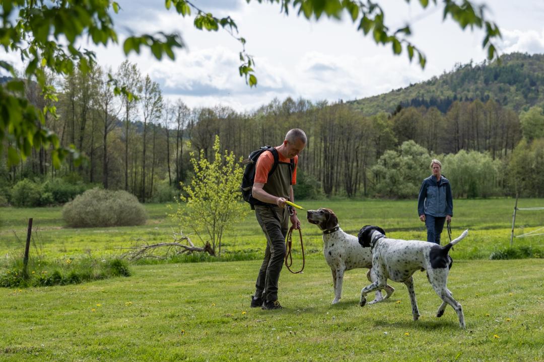 Fellnasen-Special: 3 Übern. für 1 Person mit Hund im Hotel Der Wolfshof im Harz 