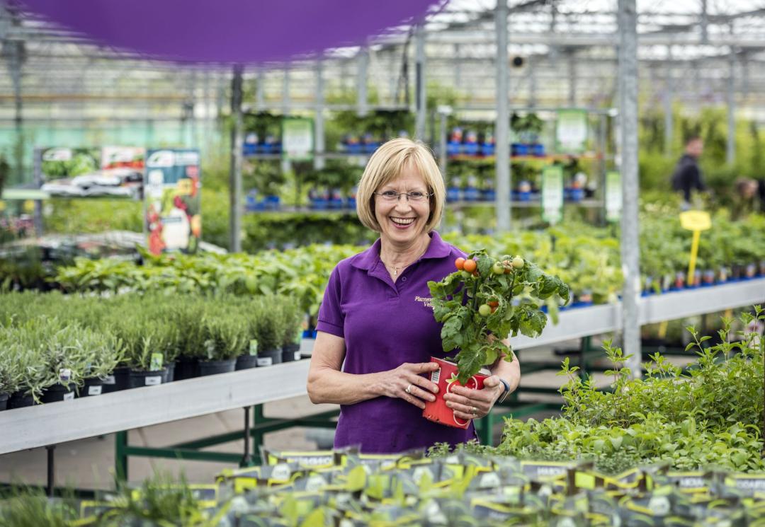 50 Euro Gutschein für das gesamte Sortiment vom Plantencentrum Velden 