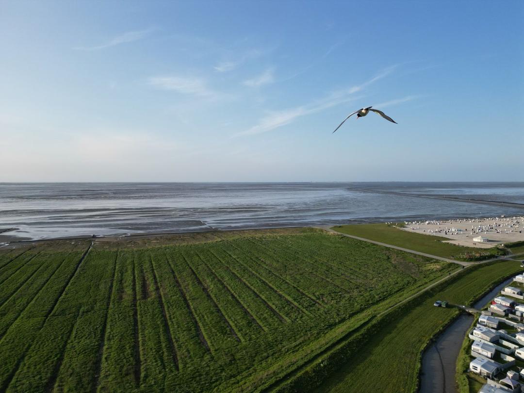 Camping-Wochenende inkl. Strandkorb für 2 Personen in Harlesiel 