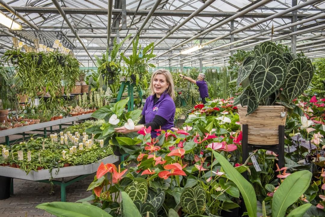 50 Euro Gutschein für das gesamte Sortiment vom Plantencentrum Velden 