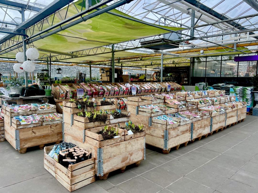 50 Euro Gutschein für das gesamte Sortiment vom Plantencentrum Velden 