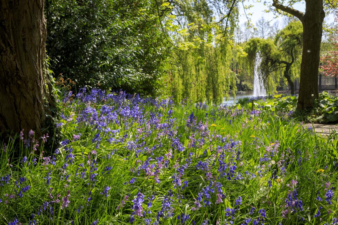Eintrittspaket Schlossgärten Arcen für 2 Personen 