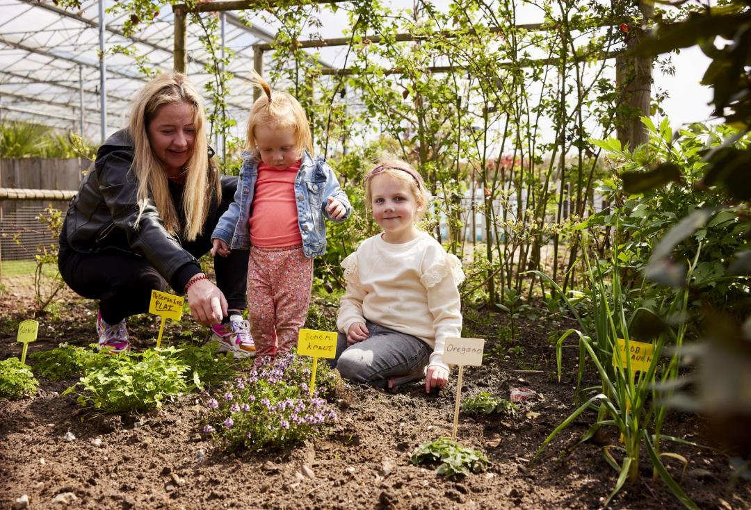 Gutschein im Wert von 200 Euro auf das gesamte Sortiment von Budgetplant.de in Venlo