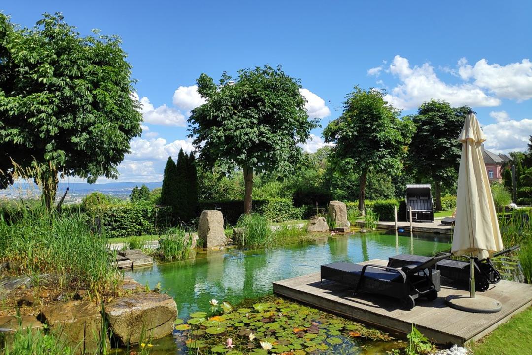 2 x Übern. für 2 Pers. im Comfort-DZ inkl. Schlossfrühstück und Live-Cooking im Schlosshotel Bad Wilhelmshöhe