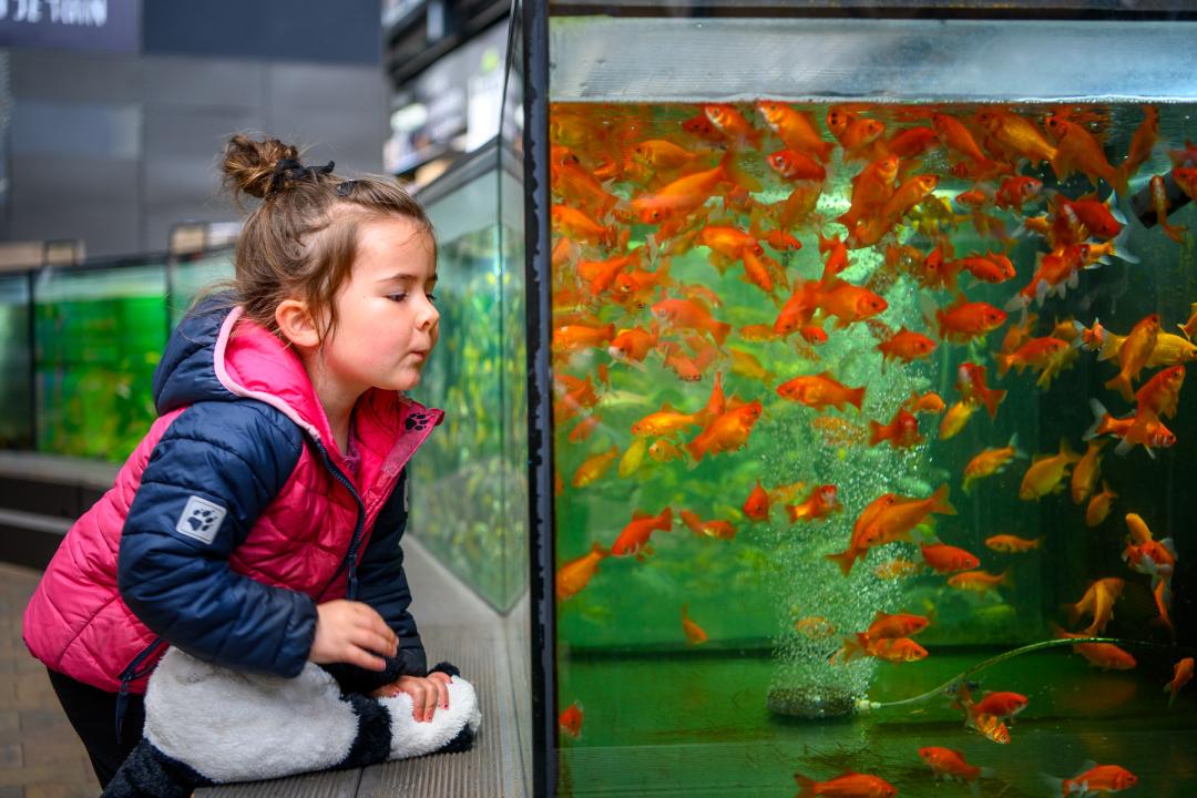 50 Euro Gutschein für das gesamte Sortiment von Gartencenter Leurs