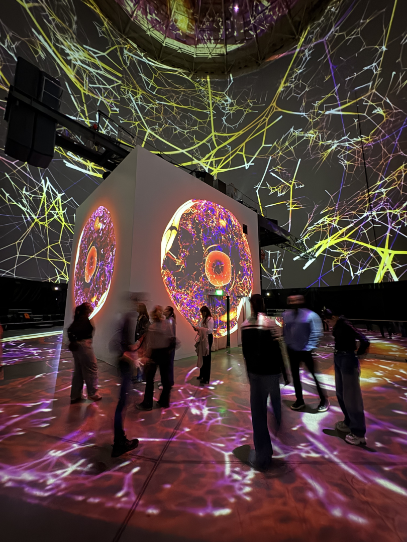 Wertgutschein - Familienticket  bis zu 5 Pers. (2 Erw. + 3 Kinder) zur Show "ORIGINS – Die Schönheit des Lebens"