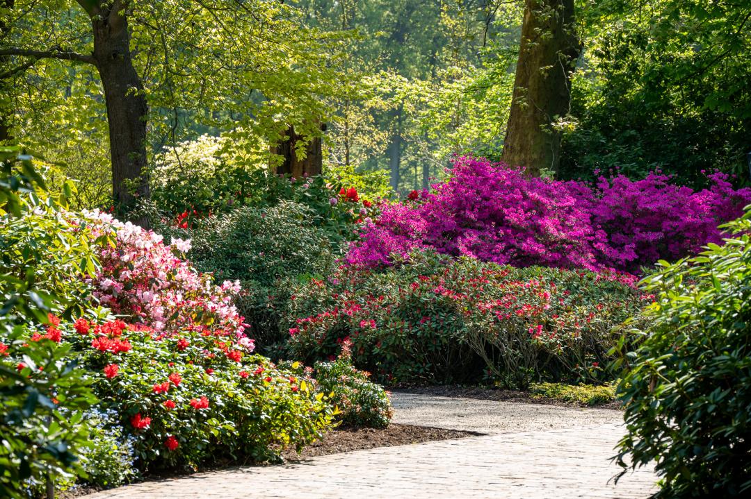 Eintrittspaket Schlossgärten Arcen für 2 Personen 