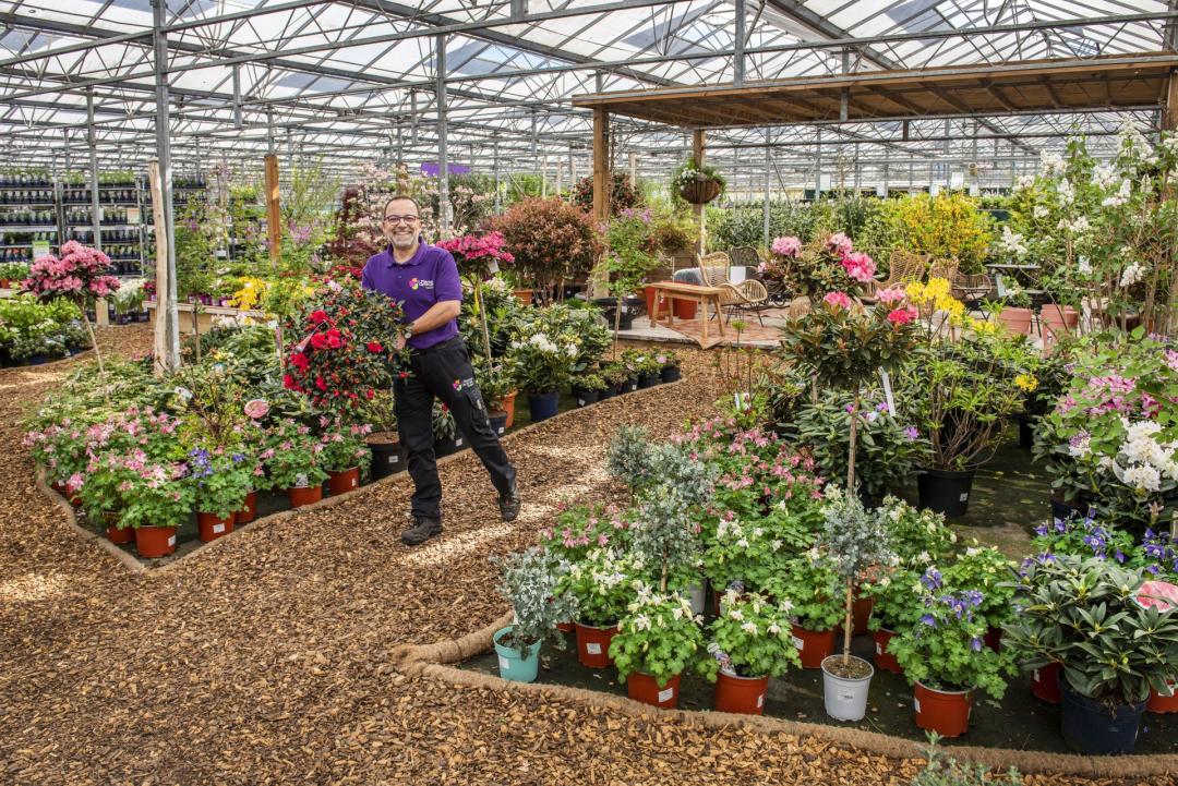 50 Euro Gutschein für das gesamte Sortiment vom Plantencentrum Velden 