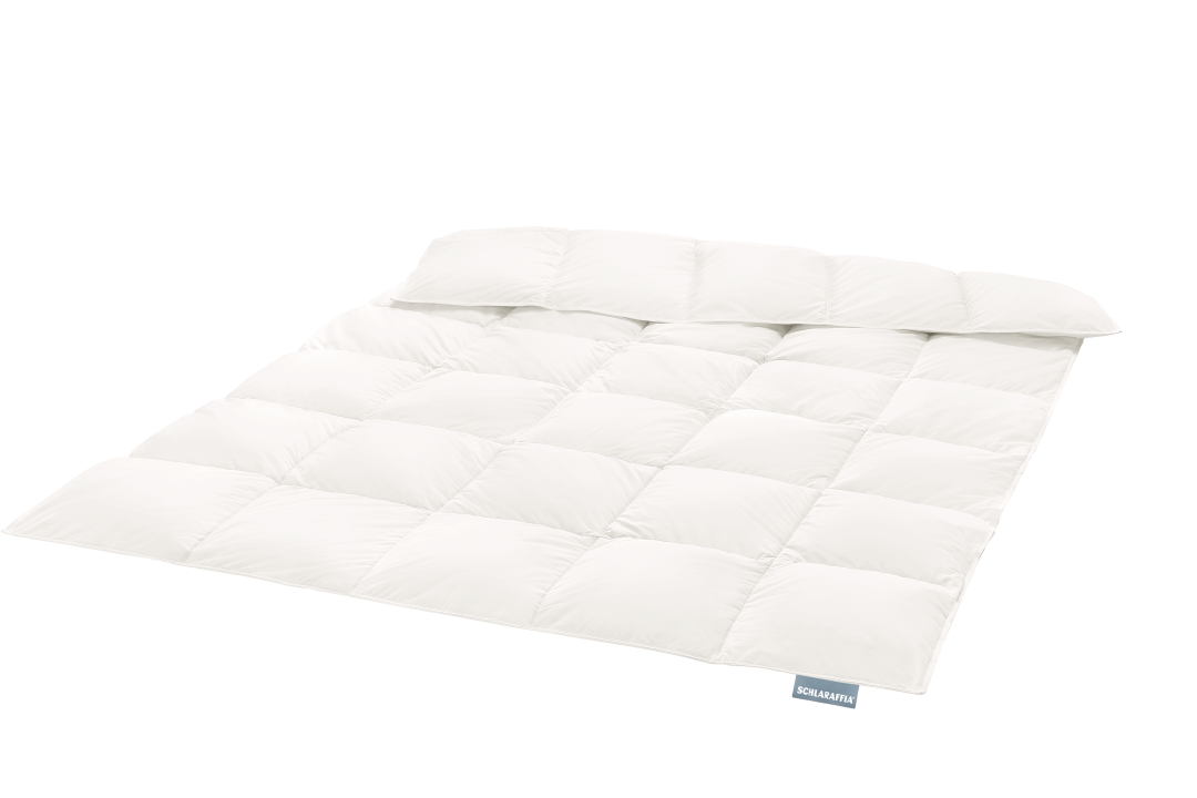 Schlaraffia Arctique Selar Daunendecke 135x200