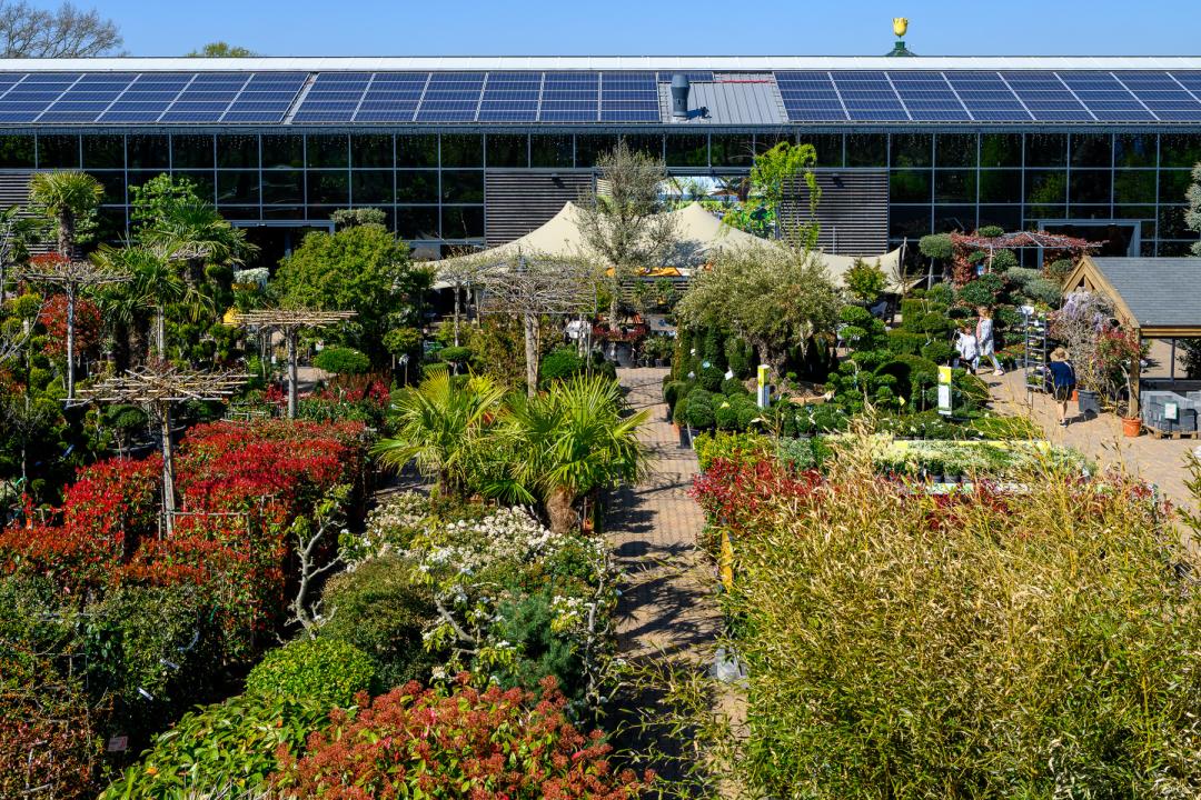 50 Euro Gutschein für das gesamte Sortiment von Gartencenter Leurs