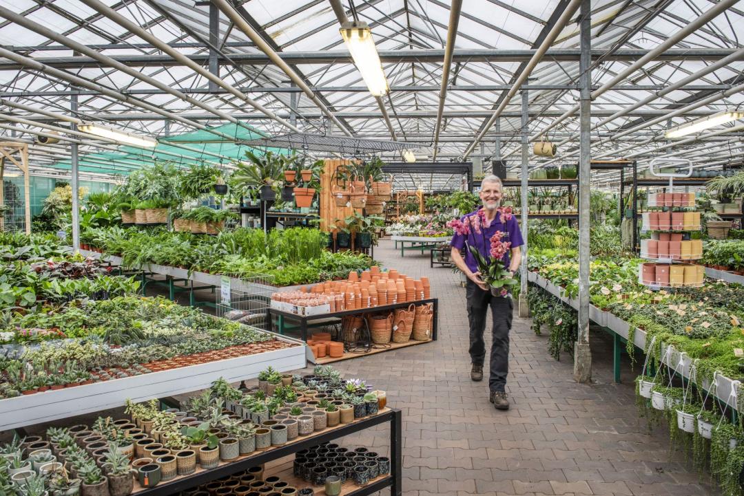 50 Euro Gutschein für das gesamte Sortiment vom Plantencentrum Velden 