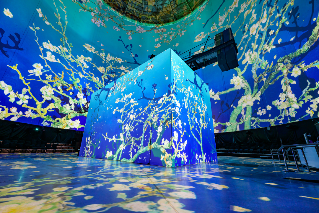 Familienticket (bis zu 5 Personen) für die Show „Vincent van Gogh – Sehnsucht“