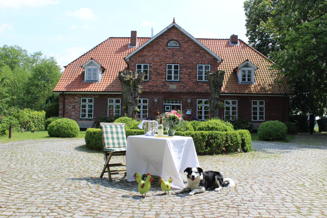 Schmetterlinge im Bauch im Komfort-DZ im Friederikenhof Lübeck