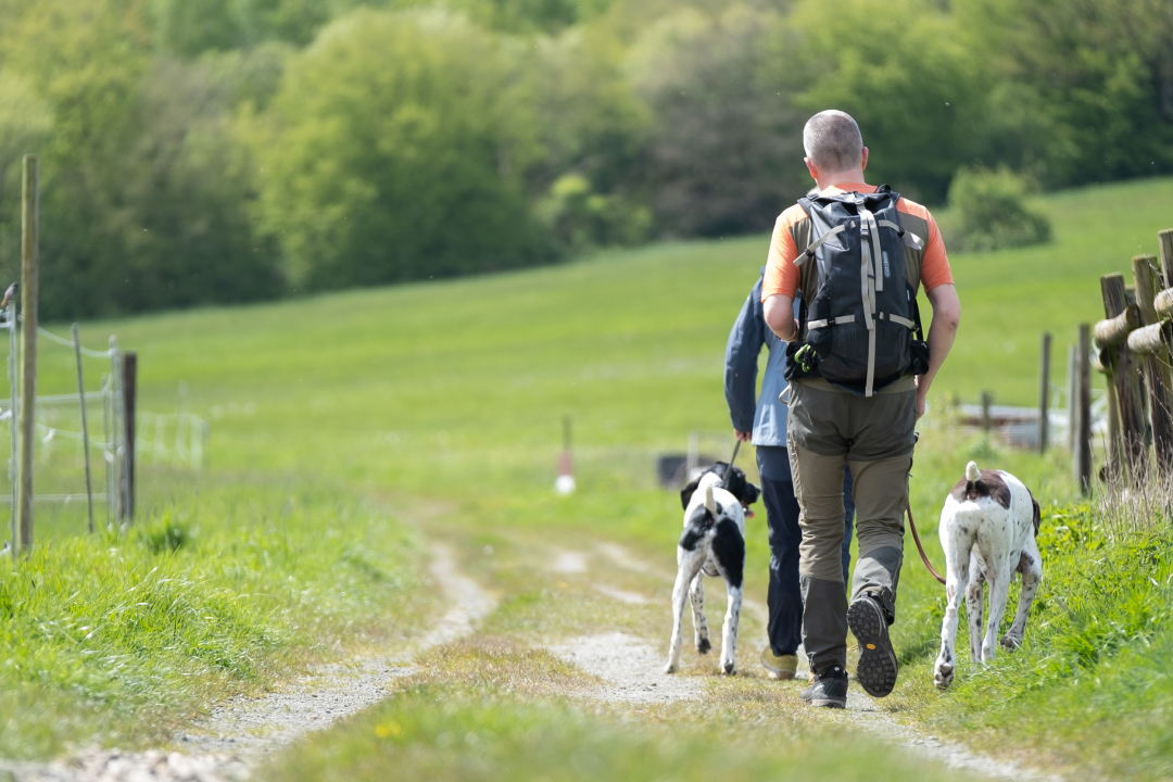 Fellnasen-Special: 3 Übern. für 1 Person mit Hund im Hotel Der Wolfshof im Harz 