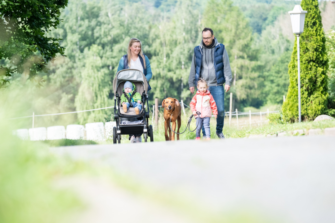 Familien-Special: 3 Übern. für 2 Erw. + 2 Kinder im Hotel Der Wolfshof im Harz